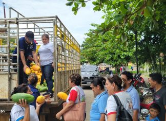 ENTREGA DE PAPAYAS