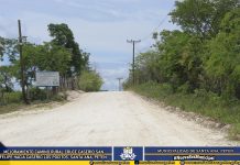 Mejoramiento De Camino Rural, Cruce Caserío San Felipe Hacia Cruce Caserío Los Pocitos