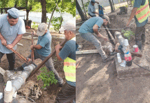 Reparación Tubo Principal De Distribución De Agua Potable, Barrio Colonia Las Flores