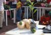 Mercadito Campesino